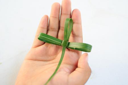 Happy Palm Sunday Everyone!