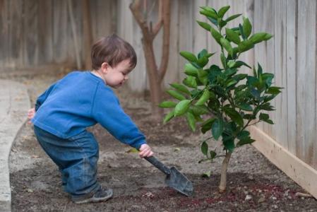 Home Improvement Mistakes…
