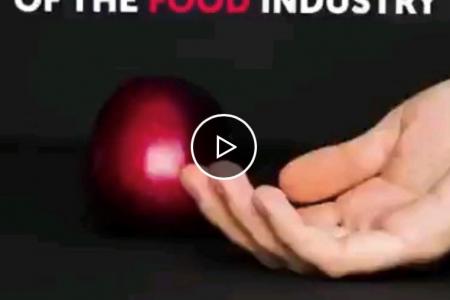Shocking Secrets the Food Industry Doesn’t Tell You!