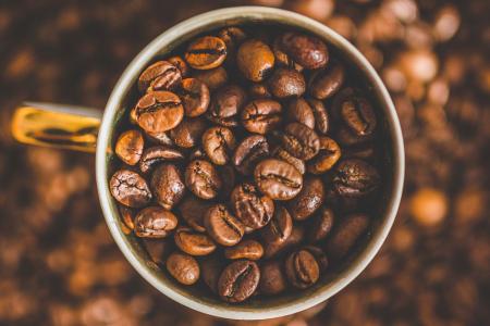 OVER $50.00 FOR A CUP OF COFFEE!