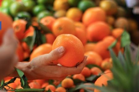 SUPER FOODS TO UNCLOG ARTERIES!