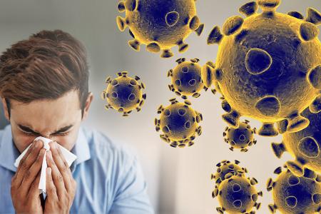 Coronavirus going to hit its peak and start falling sooner than you think