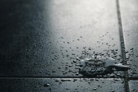 Does Homeowners Insurance Cover Roof Leaks?