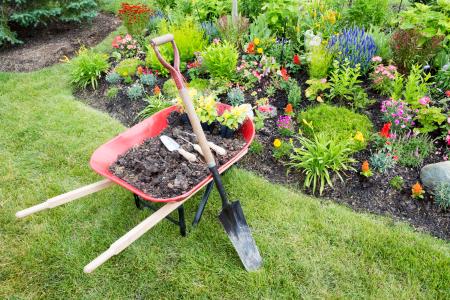 Why Do Landscaping Companies Need General Liability and Workers’ Compensation Insurance?