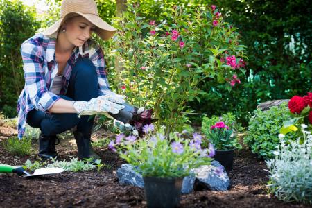 What Types of Insurance Does a Landscaping Company Need to Protect Its Tools and Vehicles?