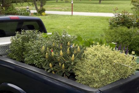 Why Do Landscaping Businesses Need Commercial Auto Insurance?